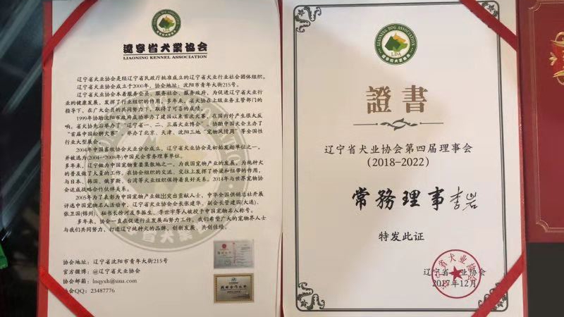 报纸报道