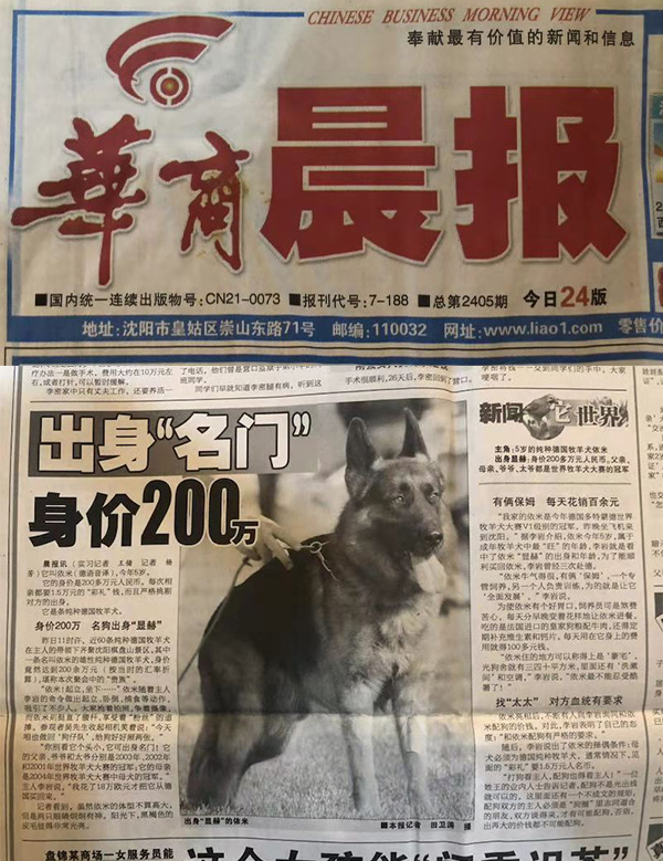 报纸报道